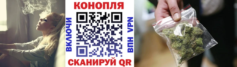 Где купить наркоту Новокузнецк Бошки Шишки  Гашиш 