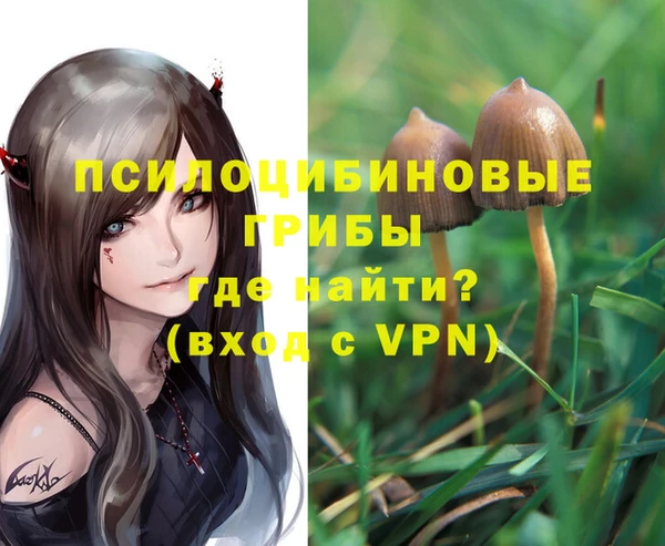 герыч Алексин
