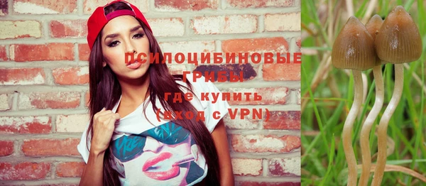 спиды Алексеевка