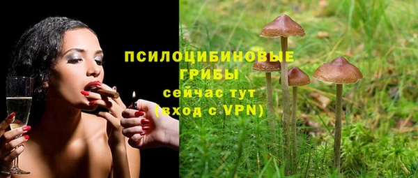 кокс Алзамай