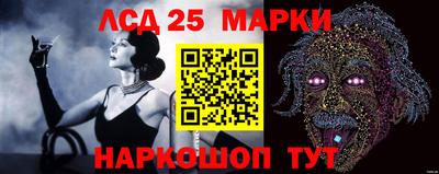дмт Нальчик