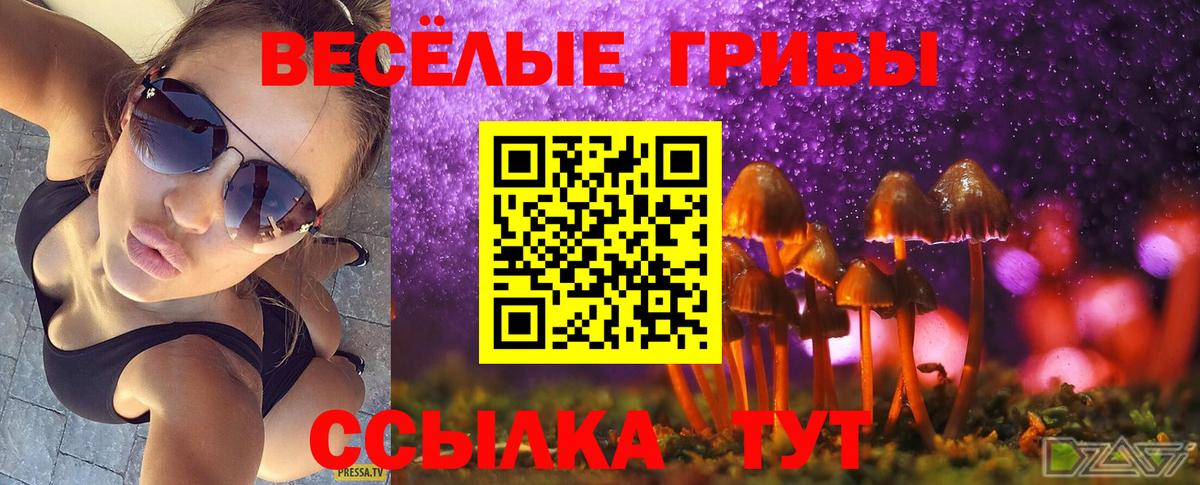 Галлюциногенные грибы Magic Shrooms  Вход с VPN  Новокузнецк  Псилоцибиновые грибы мицелий 